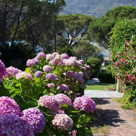 Villa Mesco Levanto Kültér fotó